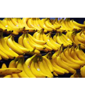 Banana (MHI TRADING)
