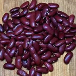 BEANS red kidney by Canadian International Commerce And Trading Company