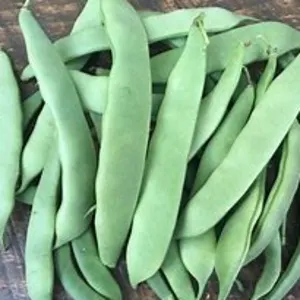 BEANS roma by Canadian International Commerce And Trading Company