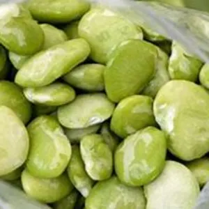 fava BEANS by Canadian International Commerce And Trading Company