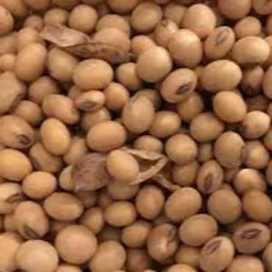 MIDLAND SOYA by Midland Tea Nuts and Coffee Packers Ltd