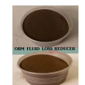 OBM Fluid Loss Reducer