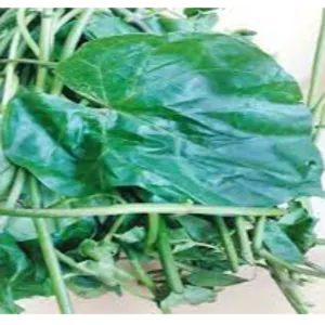 Vegetables ( Okro, Bitter leave, Ugu Leave)