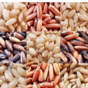 Ceylon Rice