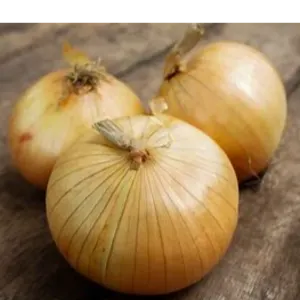 onions by Athena crown limited