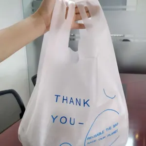 PP Non Woven Eco-Friendly Shopping Bag Reusable Packaging