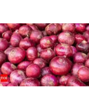 onion by Harendar import export limited corporation