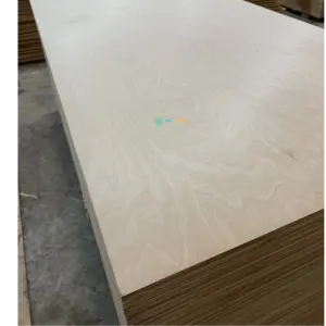 BIRCH PLYWOOD - Image 2