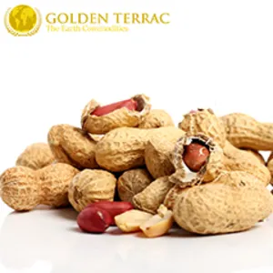 Peanuts