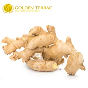 Turmeric Finger
