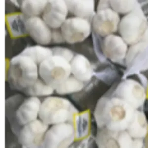 Pure White Garlic (Bawang Putih) by Metro Premium Group Sdn Bhd