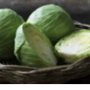 Round Cabbage