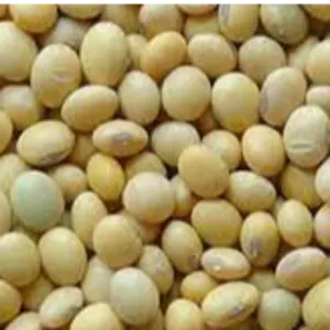 Non GMO High Grade Good Quality Soy Beans by Worldwide Commodities LLC