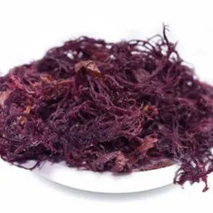 Vietnam 100% Oragnic Natural High Quality Gold Sea Moss/ Irish Moss / Wildcrafted Sun Dried Seamoss Cheap Price - Image 3