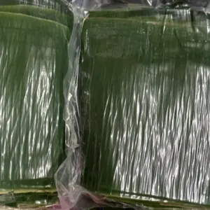 Banana Leaf