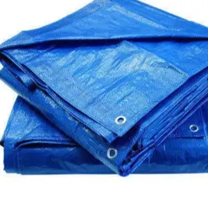 Plastic Tarpaulin