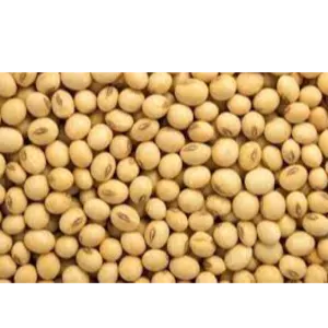 Soyabean by Phoenixia Agro Trade