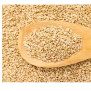 Sesam seed by Phoenixia Agro Trade