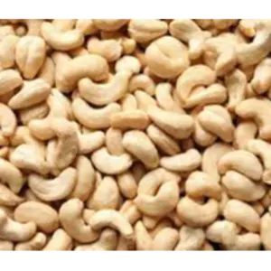 Cashew kernel by Phoenixia Agro Trade