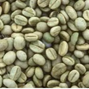 Green coffee( arabica/ robusta) - Image 2