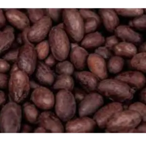 Cocoabeans by Phoenixia Agro Trade