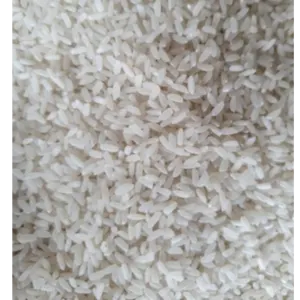 Rice - IR 64 Rice - Image 4