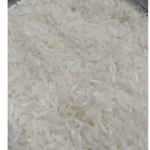 Rice - IR 64 Rice