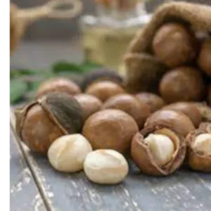 Macadamia