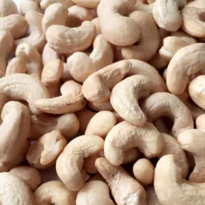 Cashew Nuts Kernels