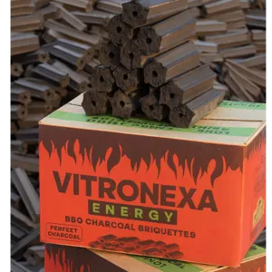 Hexagon Coconut Charcoal Briquettes by Vitronexa Energy