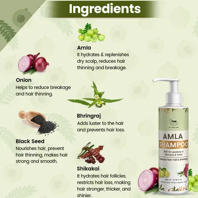 TNW – The Natural Wash Amla Shampoo | Anti-Hair Fall Shampoo for Controlling Breakage & Thinning | Anti-Hair Fall Shampoo with Natural Ingredients - Image 2