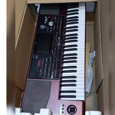 Korg Pa1000 61-Key Pro Arranger with Speakers