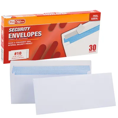 Pro Office 30ct Security Envelopes