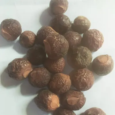 Dried Reetha (Soapnut) – Premium Quality by Waqas Trading