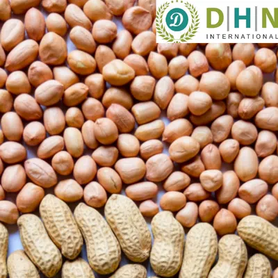 Peanut Groundnuts DHN INTERATIONAL INDIA
