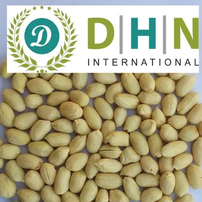 BLANCHED PEANUT - DHN INTERNATIONAL - Image 2