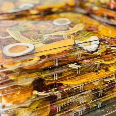 Premium Dried Fruits — Bulk / Export Supply - Image 2