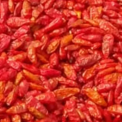 African Bird Eye Chilli by Hytham and Brothers Agri Group