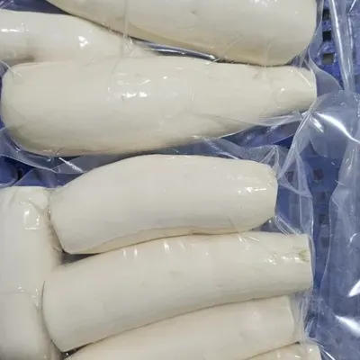 Cassava - Image 6