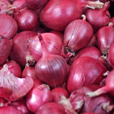 Onion by Rayzen Global Exports Pvt Ltd