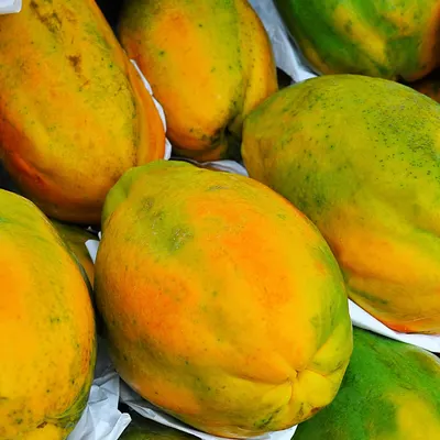 Ceylon Papaya - Image 2