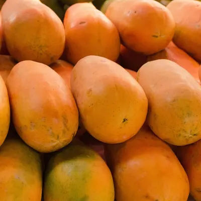 Ceylon Papaya - Image 3