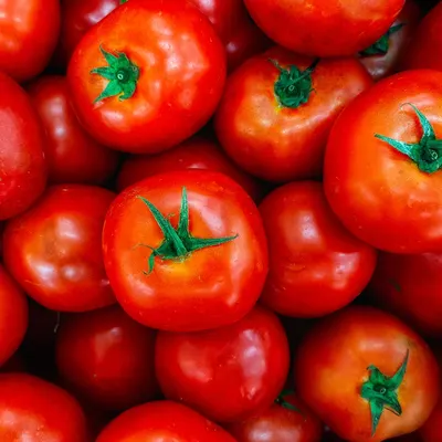 Ceylon Nature Agri Tomato by Ceylon Nature Agri Organic Product (PVT) LTD
