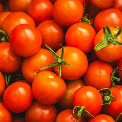 Ceylon Nature Agri Tomato - Image 2
