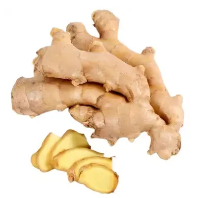 Premium Fresh Ginger (Zingiber officinale) – Export Grade | Bulk Supply - Image 2