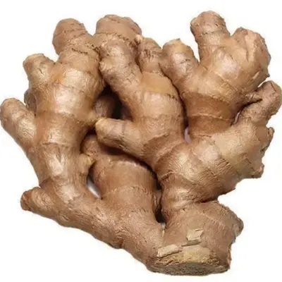 Premium Fresh Ginger (Zingiber officinale) – Export Grade | Bulk Supply - Image 3