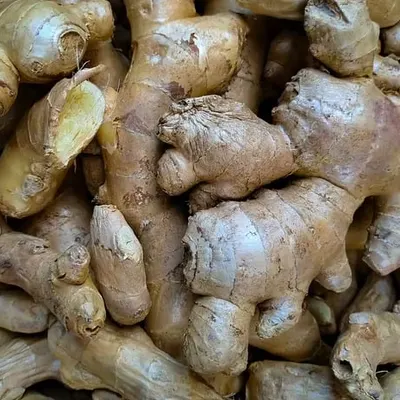 Premium Fresh Ginger (Zingiber officinale) – Export Grade | Bulk Supply - Image 4