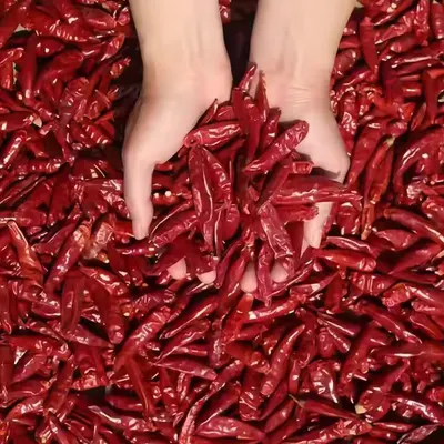 Premium Dried Red Chili Peppers – Sun Dried | Export Grade Bulk Supply - Image 2