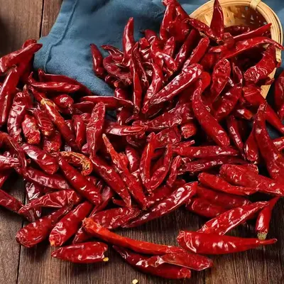 Premium Dried Red Chili Peppers – Sun Dried | Export Grade Bulk Supply - Image 4