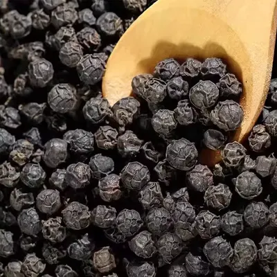 Black Pepper Whole Dried Export Quality for Food & Spice Industry - Image 3